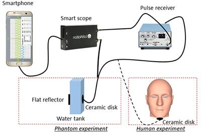 A Portable Ultrasound System for Detecting Food Sweetness Based on Chewing Dynamics: A Preliminary Investigation